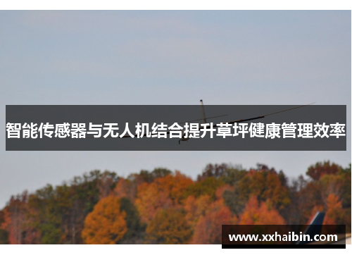 智能传感器与无人机结合提升草坪健康管理效率
